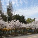 낙성대공원도서관 이미지