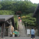 초롱