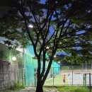 고삼면사무소 뒤 테니스장 | 대전외국인학교 테니스장 예약방법, 기울어진 코트 이용 후기
