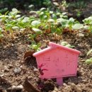 맘스허브 이미지