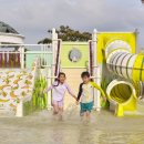 스플라스리솜 이미지