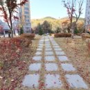 한림공인중개사사무소 이미지