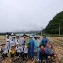 중앙보건지소 이미지