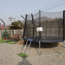 가평댕댕이애견독채펜션퍼플 이미지