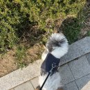열평집밥소태점 | 뉴욕여행 day1 시차적응 그거 어떡하라고 우트카라고
