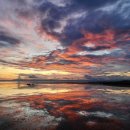 아름다움을먹다 이미지