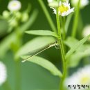 송화미용실 이미지