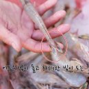 대하광택