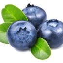 블루베리 하루 섭취량 영양성분 효과 제철 보관법 이미지