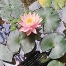 번암초등학교 이미지