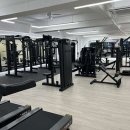 바디스케치 이미지