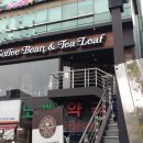 야우리 이미지