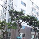 경동성남동부