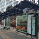 시청 앞 버스정류장 이미지