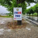 은혜화원 | 파주 꽃집 / 파주 화원 간만에 호강했던 은혜화훼판매장