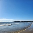 몽산포 야영장 이미지