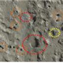 갯벌낙지 이미지