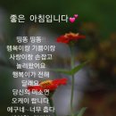 노래방에서 🤳친구님들 함께 💘보릿고개💘가수 진성(2017년12월14일 ) 이미지
