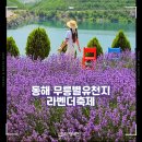 동해 무릉별유천지 라벤더축제 6월 가볼만한 곳