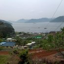 사파동216 이미지