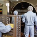 정선군농업기술센터 이미지