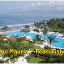 Paul Mauriat - Pearl Fishers 이미지