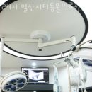 일산시티 동물의료센터 | 고양 장항동 동물병원 24시 일산시티동물의료센터 진료시간 접근성 이용후기