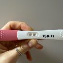 역전자동차병원 | [임신극초기] 4-5주 차 증상, 아기집 확인, 임신확인증 발급
