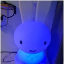 풀빌라 키즈토이 이미지