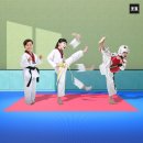 오선테크