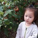 중덕경로당 이미지