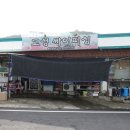 고성싸이피싱