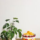 반한과일 | 천안 주문제작 케이크 제이델링 쌍용점, 역대급 과일 폭탄 비주얼에 반한 솔직후기