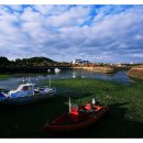 제주와서 이미지