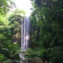 새들의천국 이미지