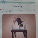 특이한 친구 이미지