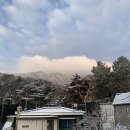 신구농장 | <개소리에 대하여> 독서모임 후기