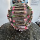 양덕동119 | [양덕동미용실/회원구미용실] 할머니랑 함께한 MH헤어 방문 후기 💇‍♀️💖