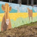 유민목장 이미지