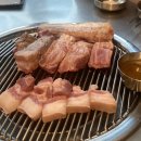 2023 시흥 물수제비 영화제 | [시흥/거북섬] 문선생탄돈 거북섬점,웨이브파크구경,시흥물수제비영화제까지 풀코스로 즐기기🐢💚