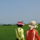 길따라행복 이미지