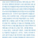 모모리헤어