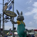 이방정기시장 이미지