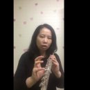 플루트(Flute) 네이버블로그