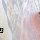 기초회화(서양화)(1) 이미지