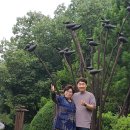 일곱번째 고양이 펜션 이미지