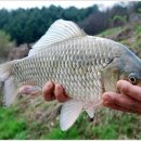 회암소류지 이미지