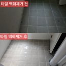 인테리어겸 | 신축을 새집(?)으로 반셀프 복원 인테리어 겸 청소 후기