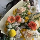 주정차단속-113 이미지