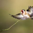 신내새한 이미지